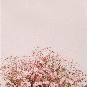 Meet your Posher, Mia